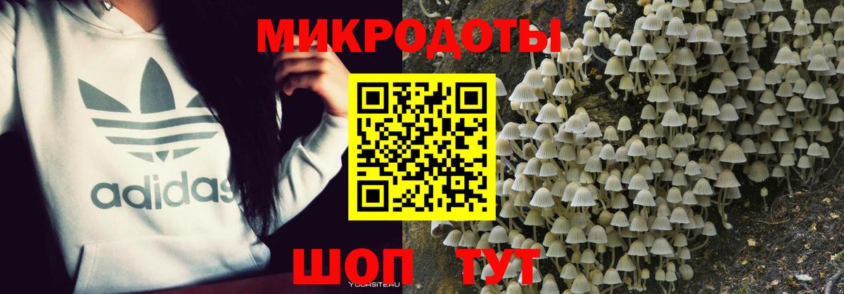 Псилоцибиновые грибы Cubensis  Вход с VPN  Галлюциногенные грибы Magic Shrooms  Назрань 